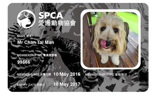 Personalised Pet Photo Membership Card